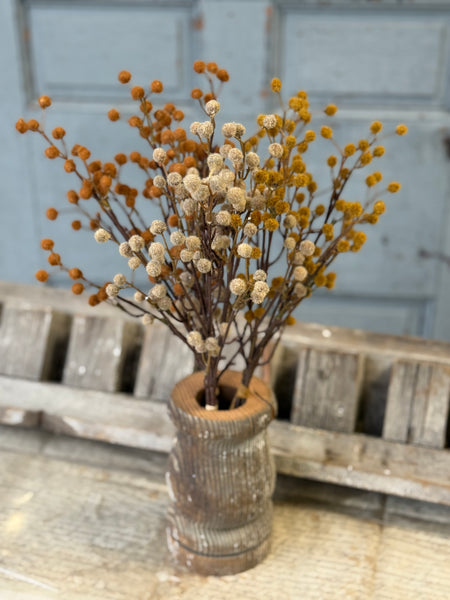 Winged Seeds Bundle | 19" | Fawn | NOT CURRENTLY IN STOCK-New For Holiday 2026!