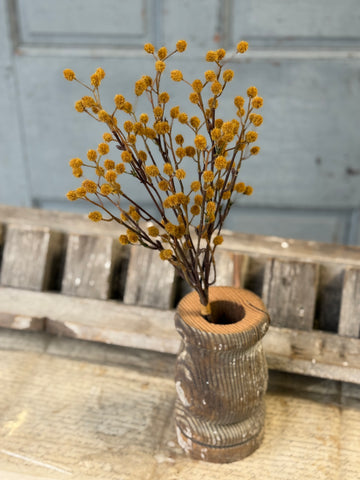 Winged Seeds Bundle | 19" | Maize | NOT CURRENTLY IN STOCK-New For Holiday 2026!