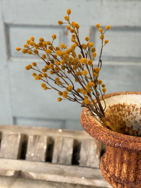 Winged Seeds Bundle | 19" | Maize | NOT CURRENTLY IN STOCK-New For Holiday 2026!