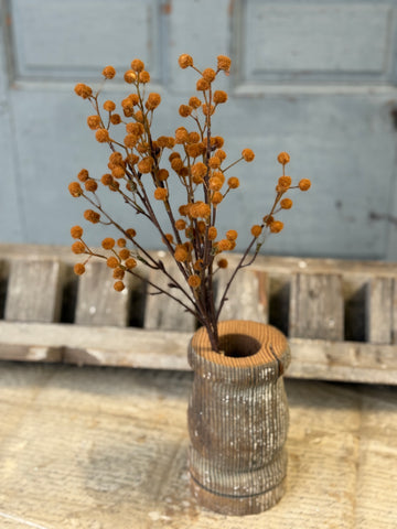 Winged Seeds Bundle | 19" | Chestnut | NOT CURRENTLY IN STOCK-New For Holiday 2026!