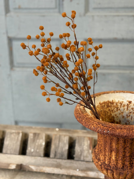 Winged Seeds Bundle | 19" | Chestnut | NOT CURRENTLY IN STOCK-New For Holiday 2026!