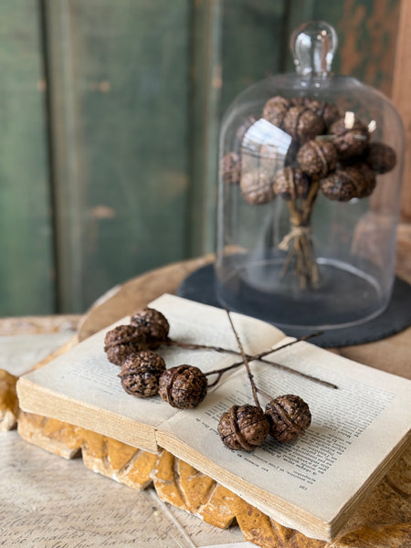 Walnut Hill Bundle
