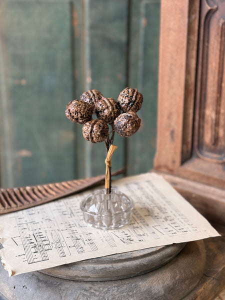 Walnut Hill Bundle