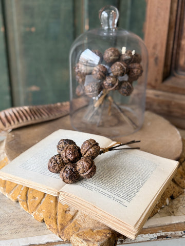 Walnut Hill Bundle | 8" (6 Walnuts per bundle)