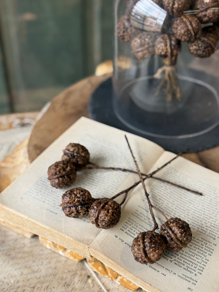 Walnut Hill Bundle