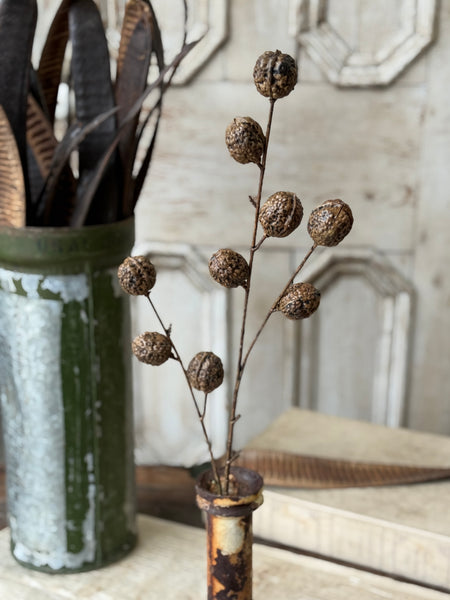 Walnut Hill Spray | 30" | NOT CURRENTLY IN STOCK-New For Holiday 2026!