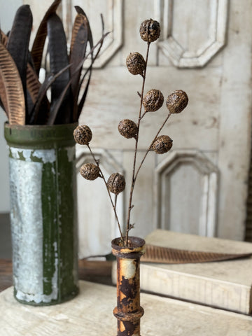 Walnut Hill Spray | 30" | NOT CURRENTLY IN STOCK-New For Holiday 2026!