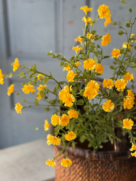 Bonnet Blooms Bundle | 31" | Yellow | NOT CURRENTLY IN STOCK-New For Spring 2027!
