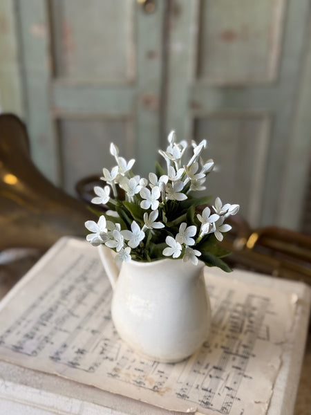 Trumpet Blooms Bush | 9" | White | NOT CURRENTLY IN STOCK-New For Spring 2027!