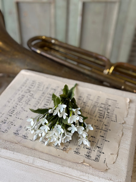 Trumpet Blooms Bush | 9" | White | NOT CURRENTLY IN STOCK-New For Spring 2027!