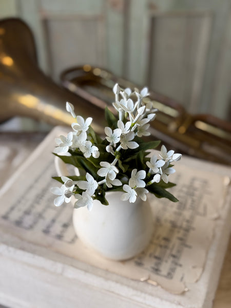 Trumpet Blooms Bush | 9" | White | NOT CURRENTLY IN STOCK-New For Spring 2027!