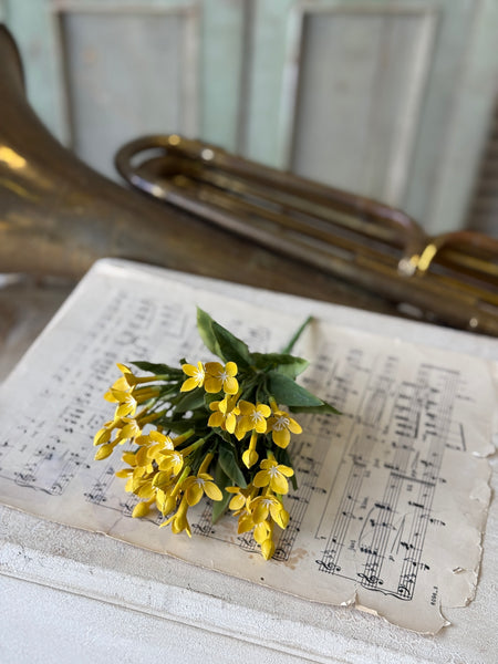 Trumpet Blooms Bush | 9" | Yellow | NOT CURRENTLY IN STOCK-New For Spring 2027!