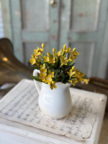 Trumpet Blooms Bush | 9" | Yellow | NOT CURRENTLY IN STOCK-New For Spring 2027!