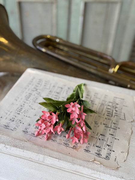 Trumpet Blooms Bush | 9" | Pink | NOT CURRENTLY IN STOCK-New For Spring 2027!