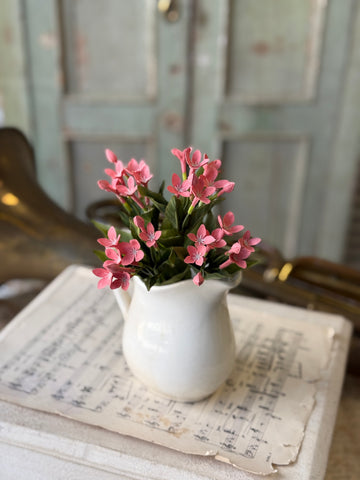 Trumpet Blooms Bush | 9" | Pink | NOT CURRENTLY IN STOCK-New For Spring 2027!