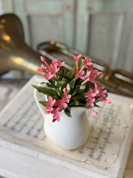 Trumpet Blooms Bush | 9" | Pink | NOT CURRENTLY IN STOCK-New For Spring 2027!