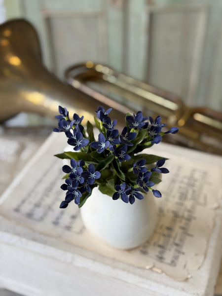Trumpet Blooms Bush | 9" | Blue | NOT CURRENTLY IN STOCK-New For Spring 2027!