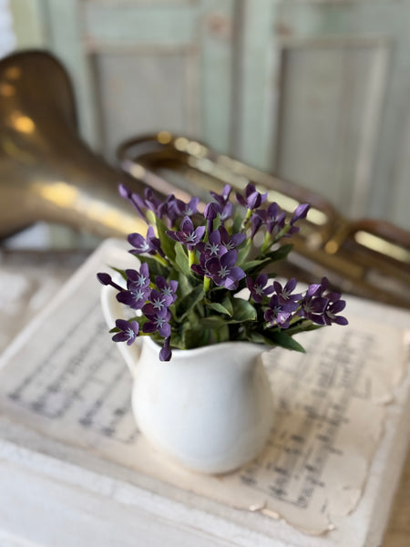 Trumpet Blooms Bush | 9" | Lavender | NOT CURRENTLY IN STOCK-New For Spring 2027!