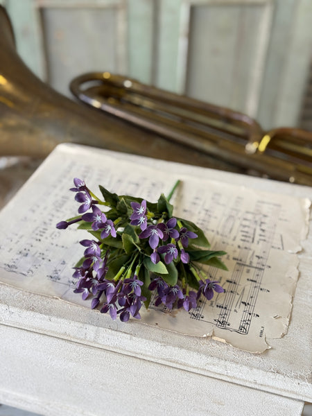 Trumpet Blooms Bush | 9" | Lavender | NOT CURRENTLY IN STOCK-New For Spring 2027!