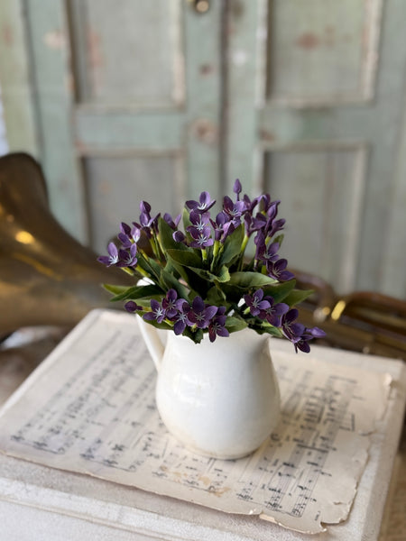 Trumpet Blooms Bush | 9" | Lavender | NOT CURRENTLY IN STOCK-New For Spring 2027!