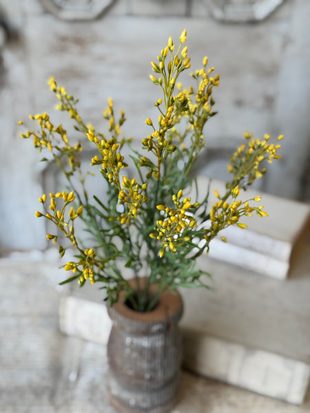Delilah Buds Bush | 23" | Yellow | NOT CURRENTLY IN STOCK-New For Spring 2027!