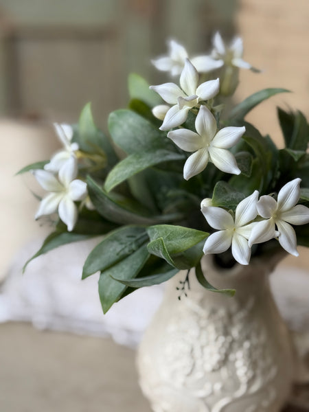 Eyelet Blooms Bush | 11" | NOT CURRENTLY IN STOCK-New For Spring 2027!