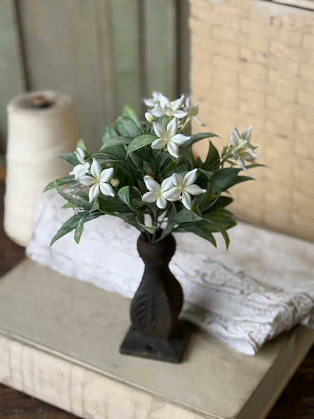 Eyelet Blooms Bush | 11" | NOT CURRENTLY IN STOCK-New For Spring 2027!