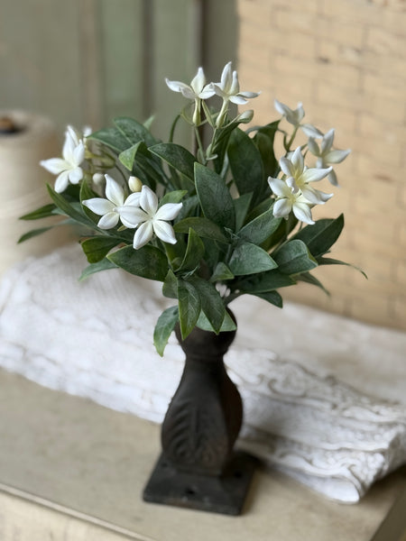Eyelet Blooms Bush | 11" | NOT CURRENTLY IN STOCK-New For Spring 2027!