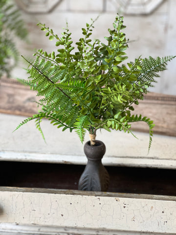 Fern & Fable Bundle | 16" | NOT CURRENTLY IN STOCK-Returning Spring 2027!