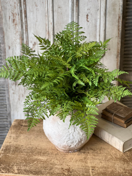 Revere Fern Bush | 24"
