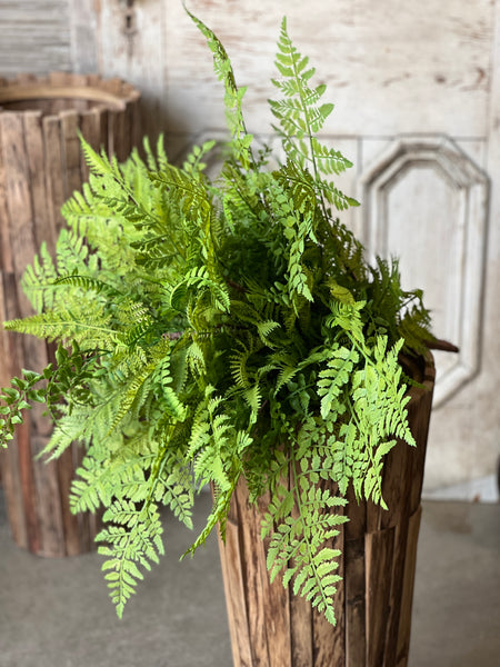 Revere Fern Bush | 24"