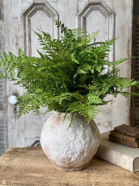 Revere Fern Bush | 24"