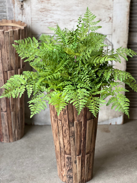 Revere Fern Bush | 24"