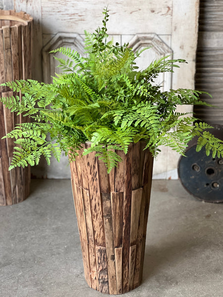 Revere Fern Bush | 24"