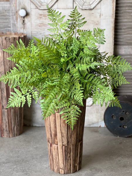 Revere Fern Bush | 24"