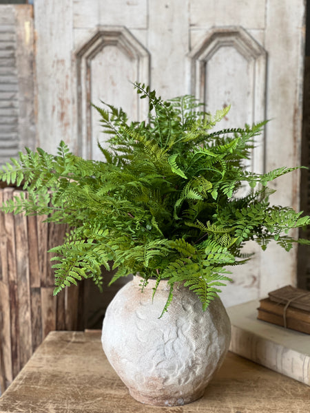 Revere Fern Bush | 24"