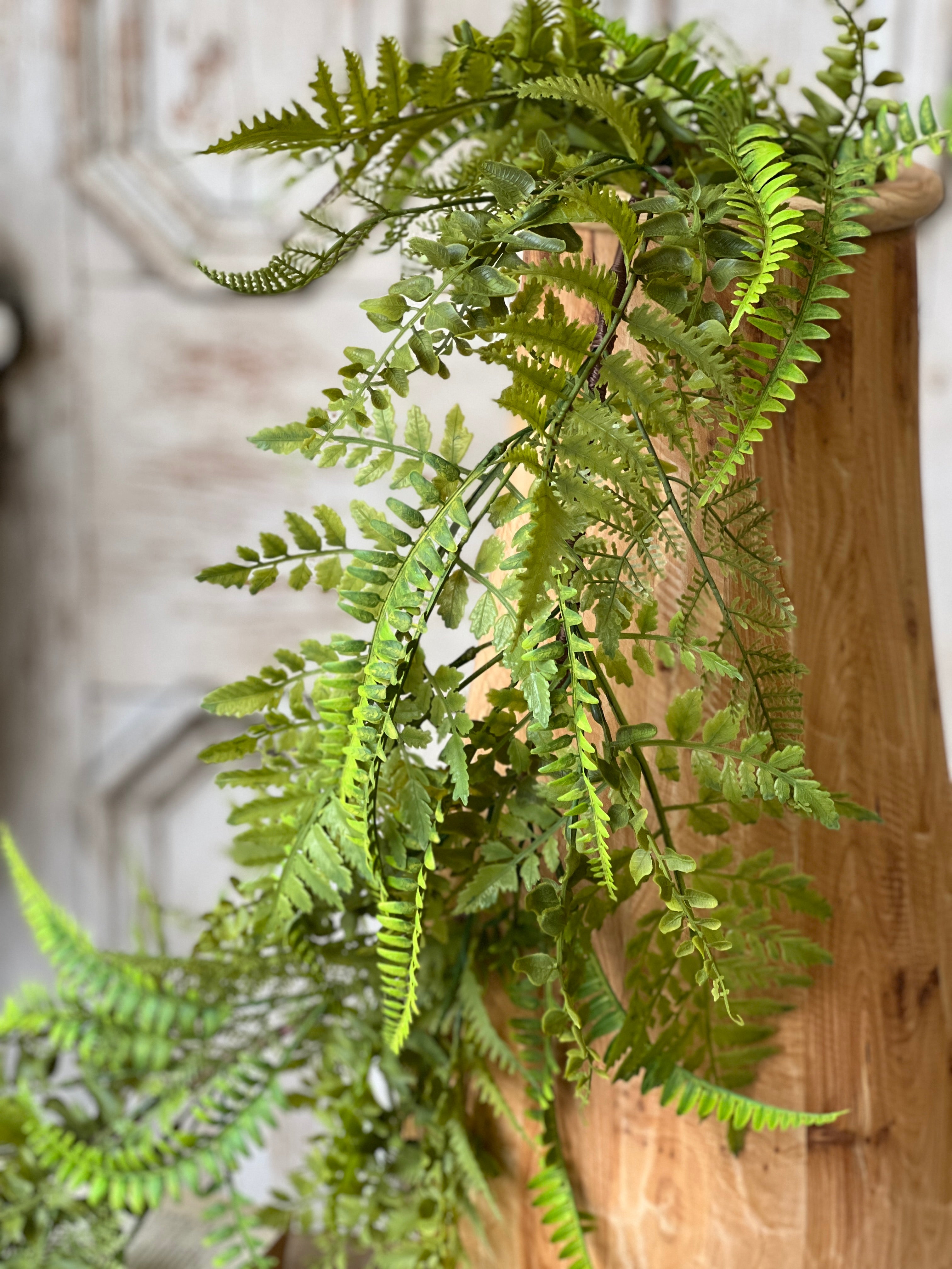 Fairhope Fern Garland | 6' | JUST ARRIVED!