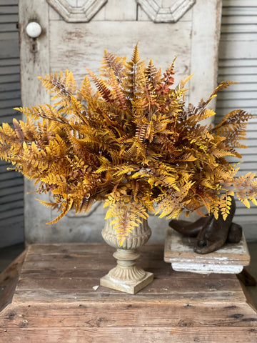 Liberty Fern Bush | 24"