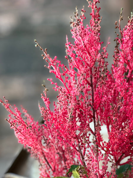 Featherstitch Bundle | 20" | Watermelon | NEW PRICE!  From $3.95 (was $8.40)