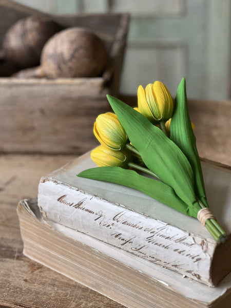 Poppet Tulip Bundle | 8.5" | Yellow | NOT CURRENTLY IN STOCK - Spring 2026