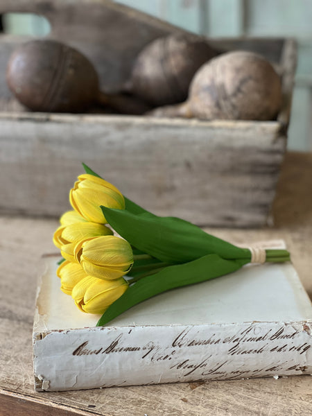 Poppet Tulip Bundle | 8.5" | Yellow | NOT CURRENTLY IN STOCK - Spring 2026