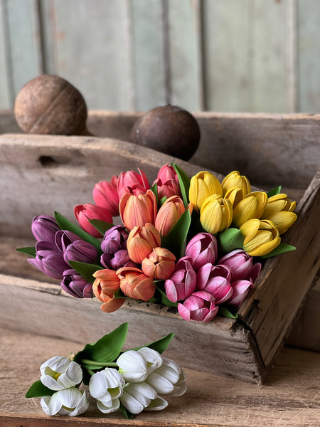 Poppet Tulip Bundle | 8.5" | Orange | NOT CURRENTLY IN STOCK - Spring 2026