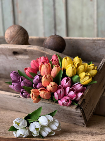 Poppet Tulip Bundle | 8.5" | Cream | SOLD OUT