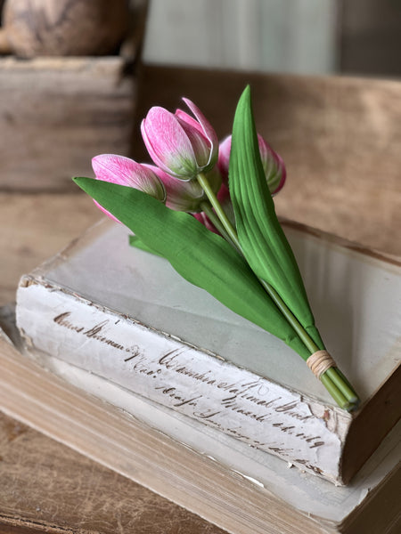Poppet Tulip Bundle | 8.5" | Pink | NOT CURRENTLY IN STOCK - Spring 2026