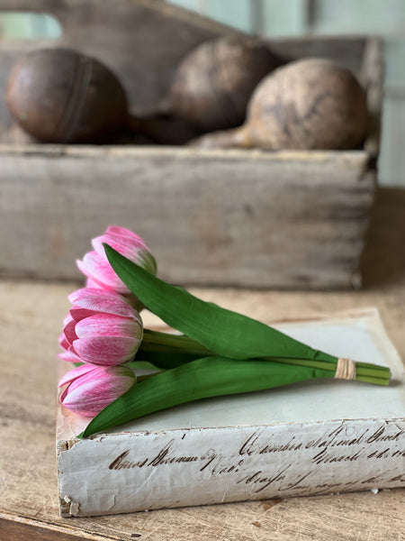 Poppet Tulip Bundle | 8.5" | Pink | NOT CURRENTLY IN STOCK - Spring 2026