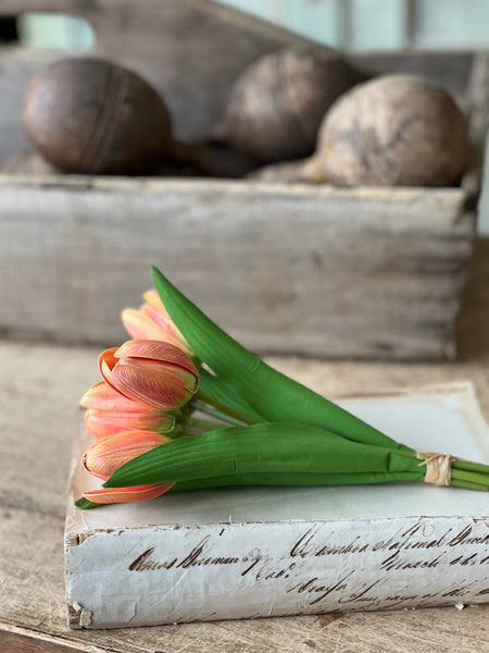 Poppet Tulip Bundle | 8.5" | Orange | NOT CURRENTLY IN STOCK - Spring 2026
