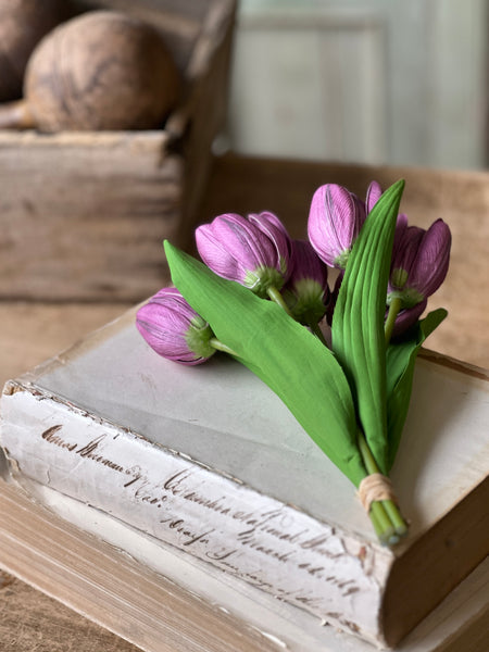 Poppet Tulip Bundle | 8.5" | Purple | NOT CURRENTLY IN STOCK - Spring 2026