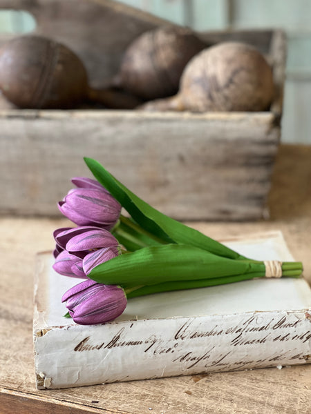 Poppet Tulip Bundle | 8.5" | Purple | NOT CURRENTLY IN STOCK - Spring 2026