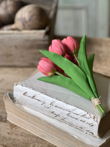 Poppet Tulip Bundle | 8.5" | Coral | NOT CURRENTLY IN STOCK - Spring 2026