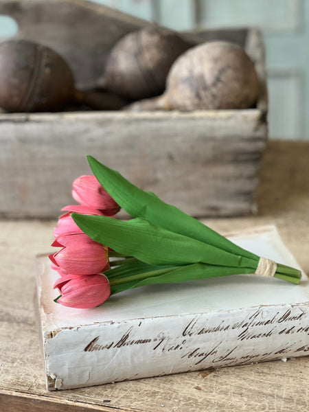 Poppet Tulip Bundle | 8.5" | Coral | NOT CURRENTLY IN STOCK - Spring 2026